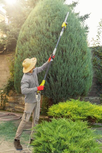 Best Lawn Watering Services  in North Royalton, OH